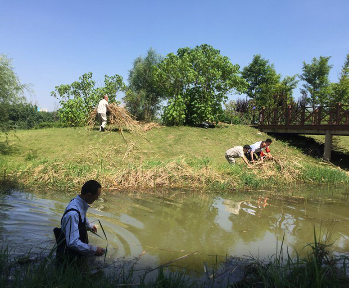 高科医疗器械园